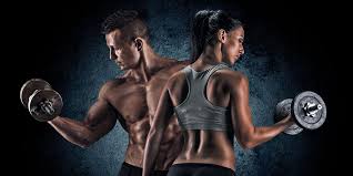 MUSCULATION