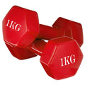 HALTERES 1 KG